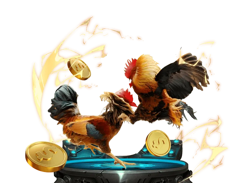 Hướng dẫn cá cược Đá gà